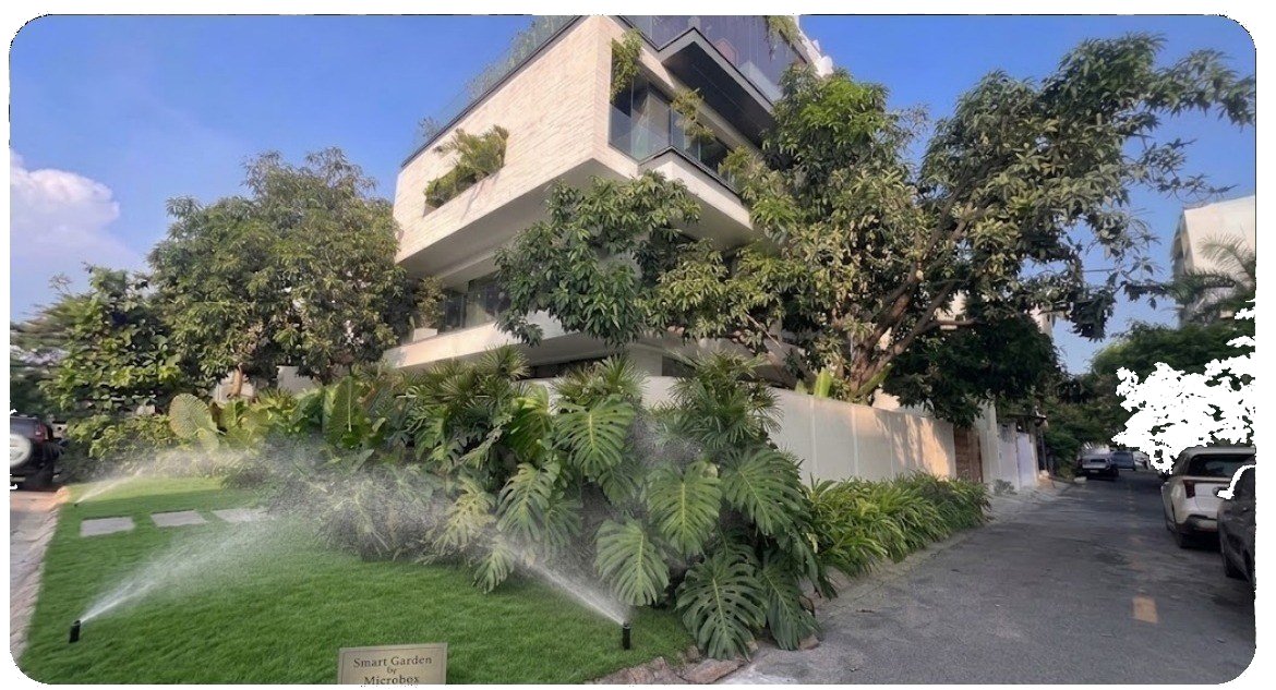 Smart Garden Mango House — hệ thống đang tưới