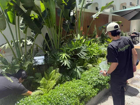 Lắp đặt công trình